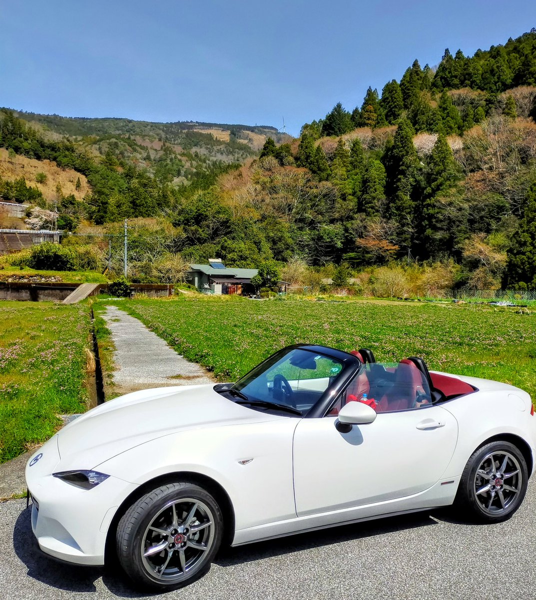 #おはようございます 
蓮花畑〜🥰
田舎は良いよね〜🌿💞🌿🍀🌿

#ロードスター #MAZDA #tnb403