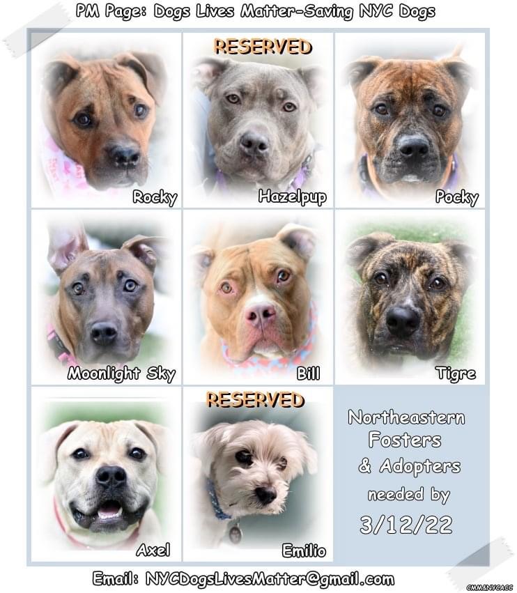 Jill Love’n#HideYourGhost tweet media