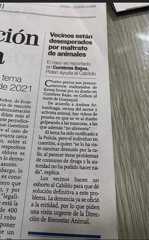 carmitafernand1's tweet photo. @RescateAnimalEC @CynthiaViteri6 Hasta la prensa escrita. Y no hay justicia...y entonces como pararemos maltrato en la  gente del pueblo??? Asi pongamos el pecho a las balas en sectores marginales...nada se puede hacer si nuestra máxima autoridad competente y lider toma un accionar definitivo. Por favor https://t.co/woX8DZ1hfP