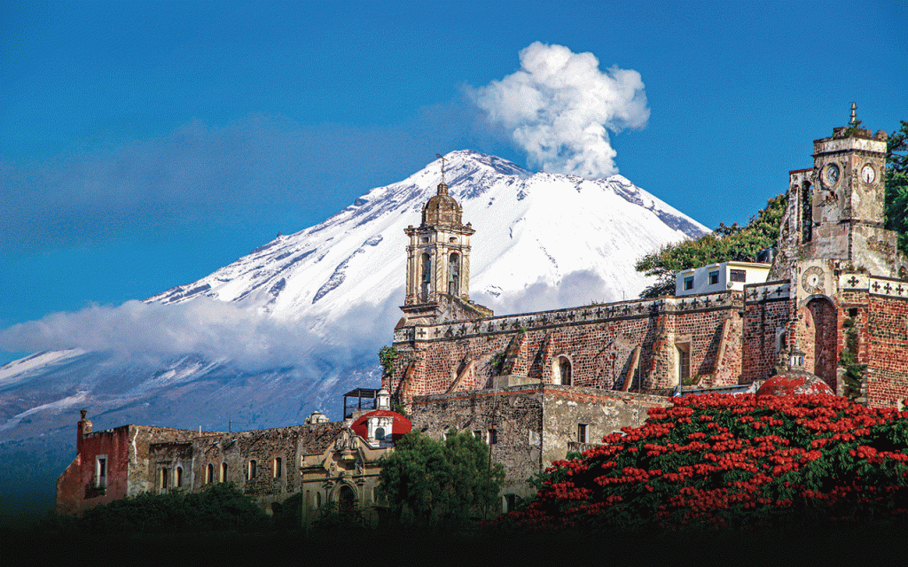 TheNewNormalWeb's tweet photo. Las mejores flores están en #Atlixco https://t.co/wid20FgTYU