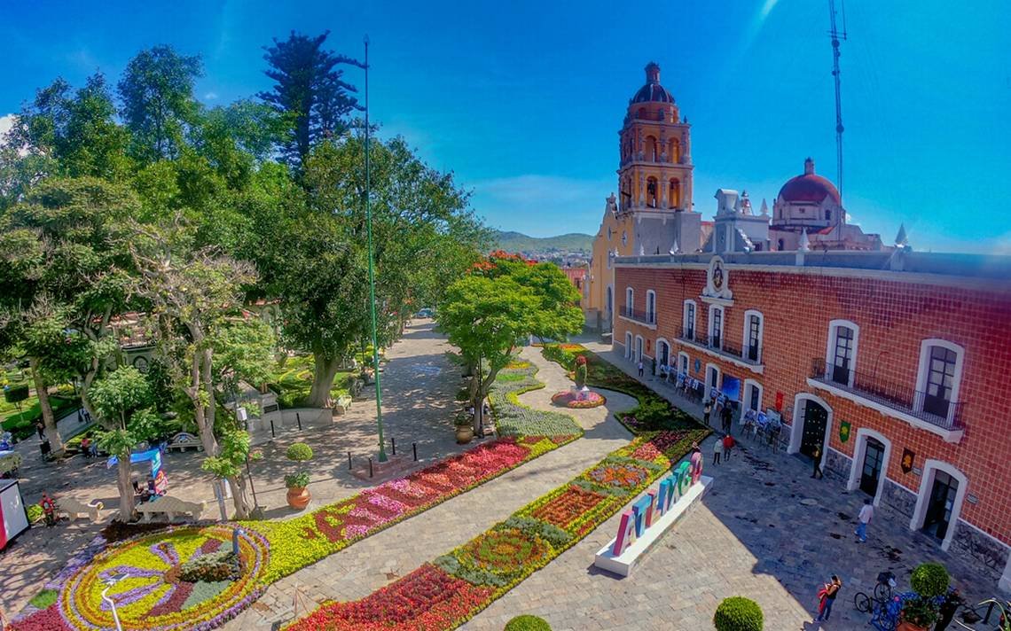 TheNewNormalWeb's tweet photo. Ya visitaron los viveros de #Atlixco, están espectaculares. https://t.co/jURjxPnO7c