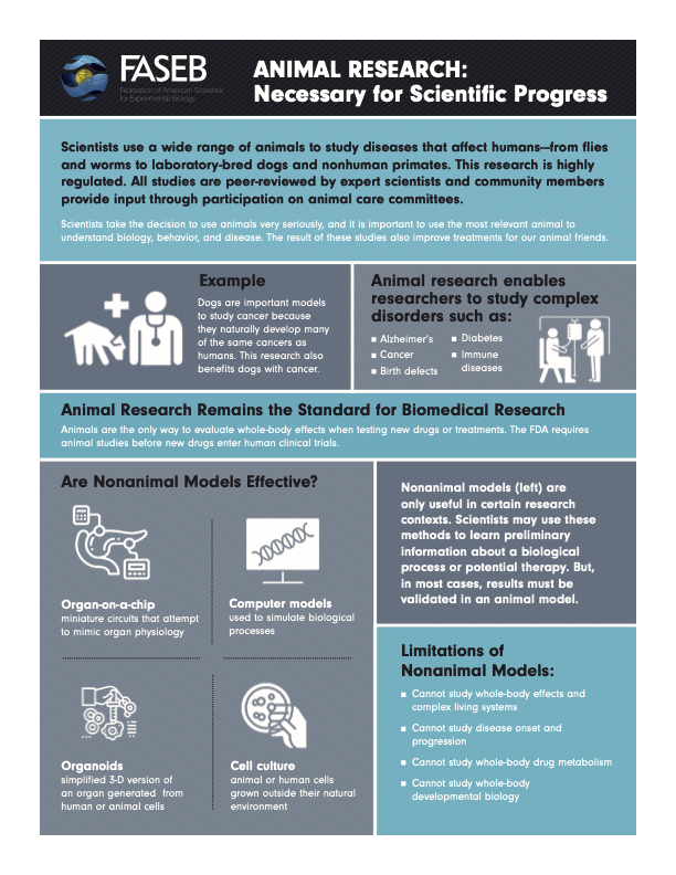 kyle_cav's tweet photo. Returning to twitter to share the recently released animal research factsheet I helped make as a science policy fellow for @FASEB
https://t.co/CSR6knaQjx https://t.co/wGcdFVutwO