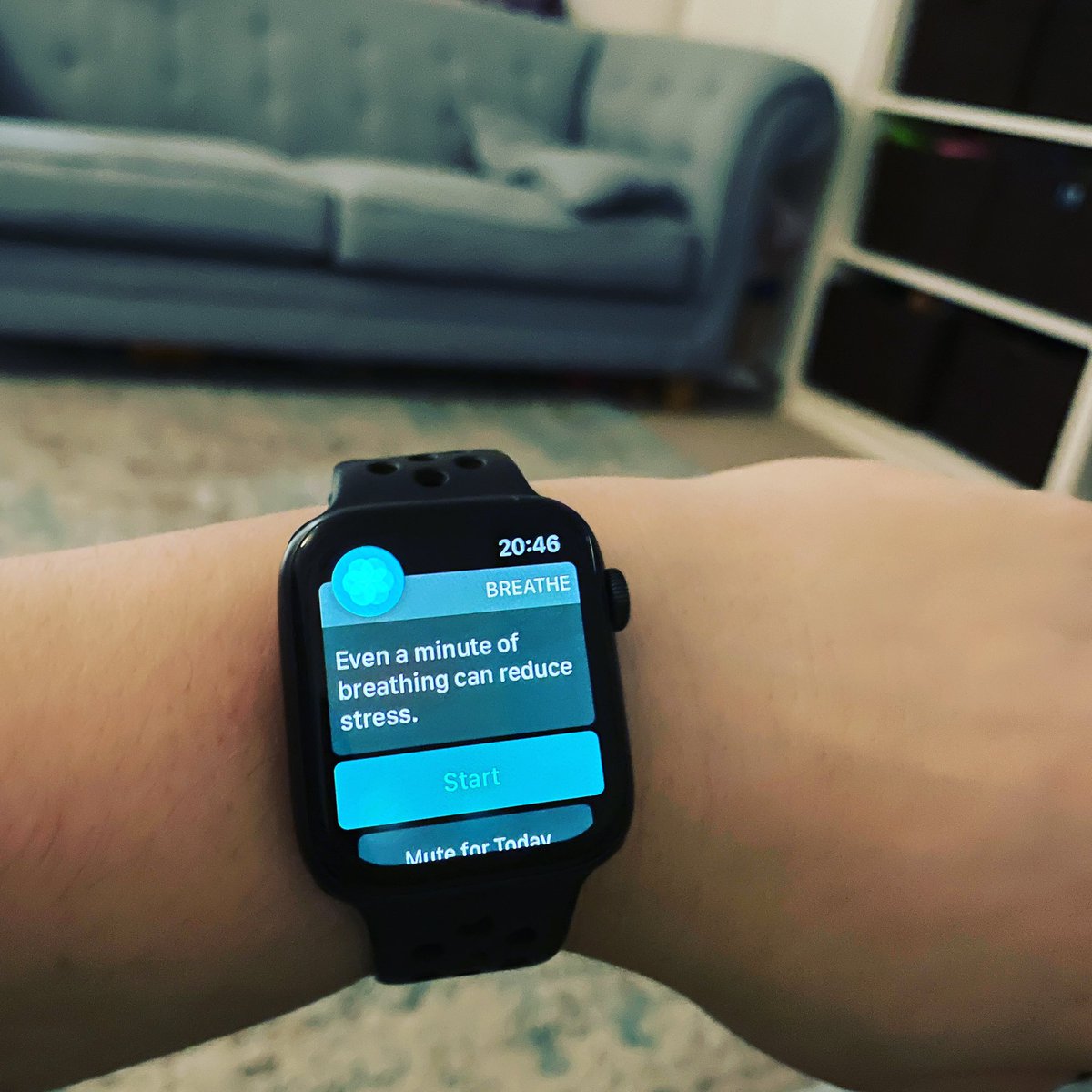 richlannen's tweet photo. Caused by children #kids #bedtime #applewatch #parenting #parent #parents #children https://t.co/TA2s2kD8iI
