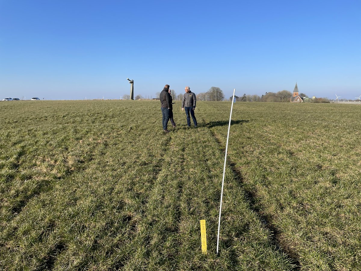 TomNie81's tweet photo. 2-daags Denemarken. #agronord #seges @LINDSdk #millenaardairy. Gras proefvelden kijken, koeien kijken,
Ondernemers spreken. Wat een mooi land om boer te zijn 💪🐄🚜 https://t.co/Ccp4nwqPk8