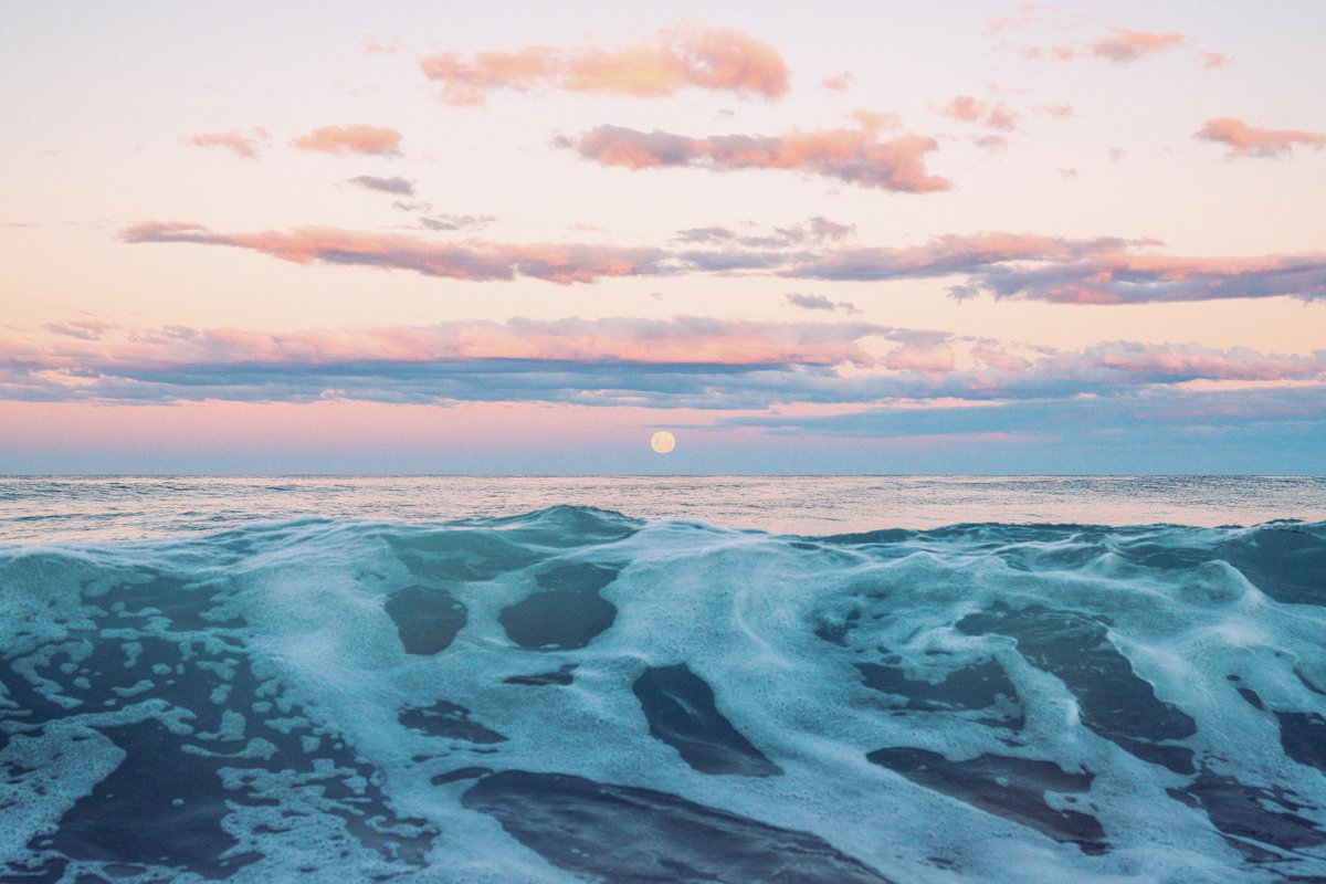 Ryan Pernofski tweet media