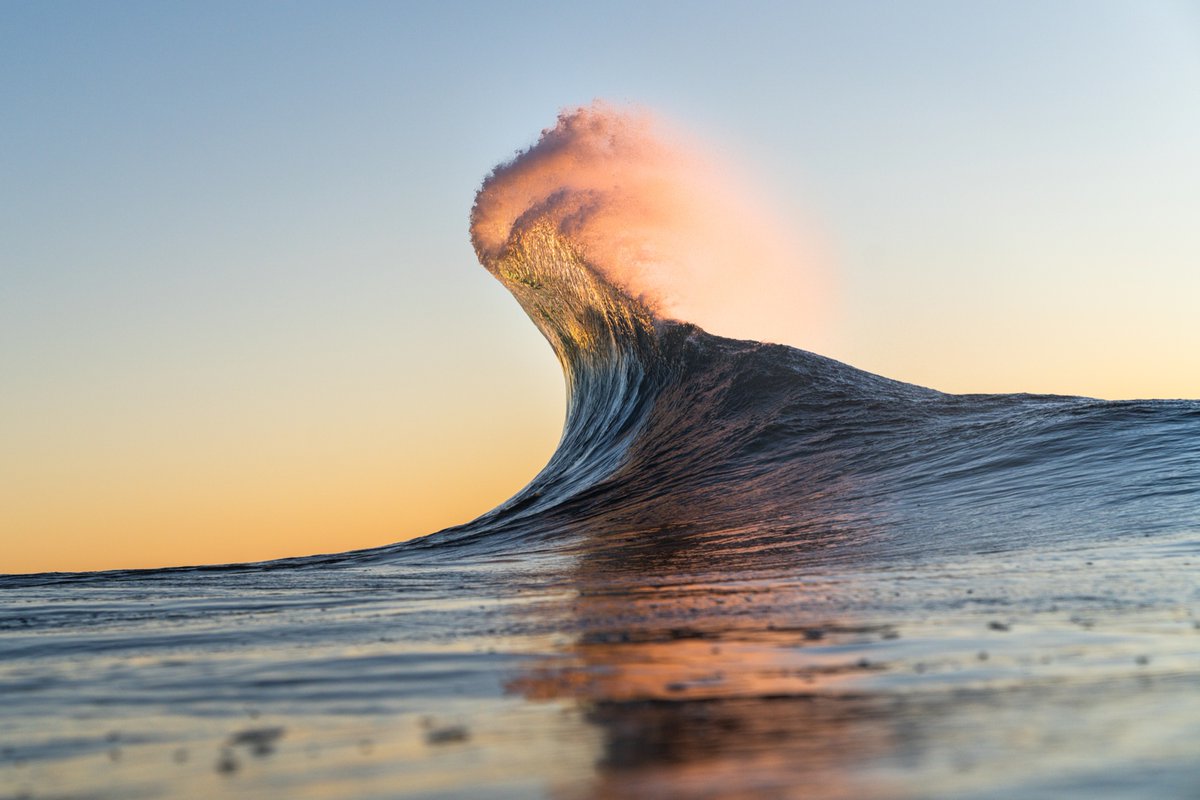 Ryan Pernofski tweet media