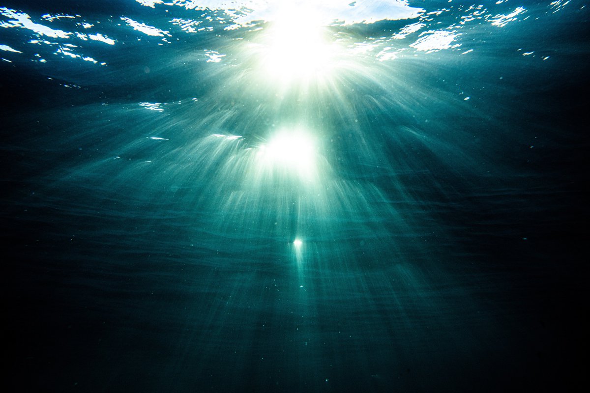 Ryan Pernofski tweet media