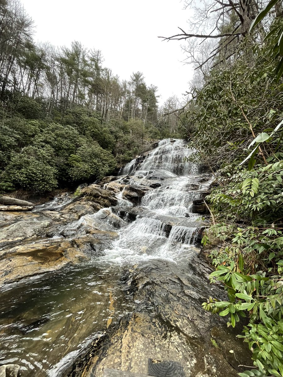 Molly Ward tweet media