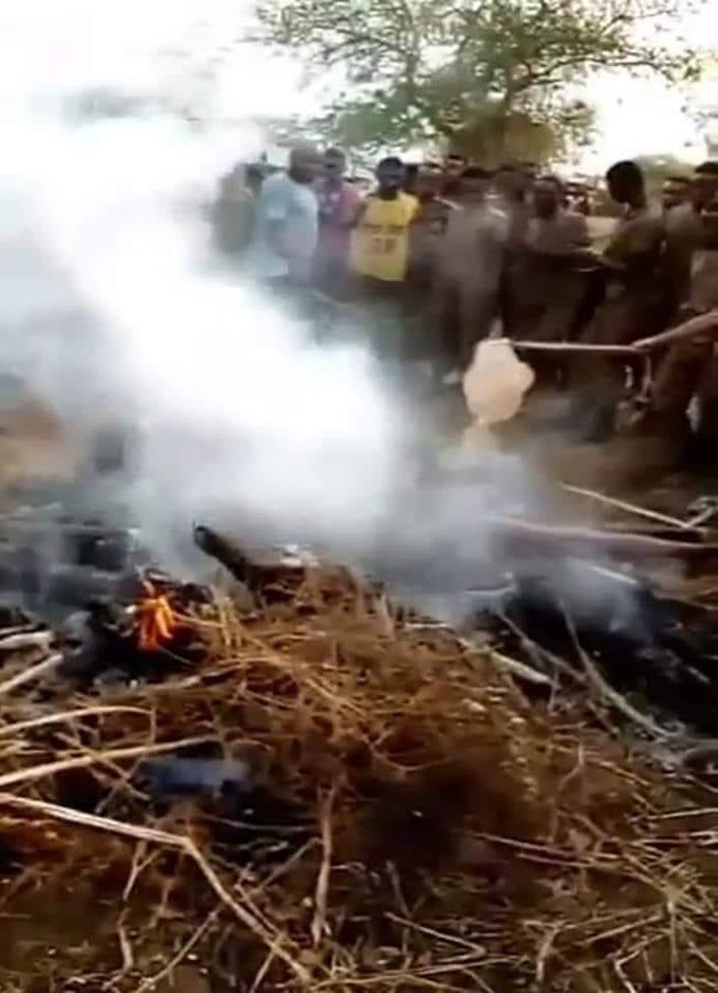 solo_man20's tweet photo. ENOUGH IS ENOUGH! A GRAPHIC content: Ethiopian security forces &amp; Amhara militia burning several #Tigrayans alive. #TigrayGenocide @CNN @UNHumanRights @amnesty @ChrisCoons @UN @vickyford @PaulKagame @USAmbUN @BradSherman @RepMalinowski @EU_Commission https://t.co/UEACe3WArR