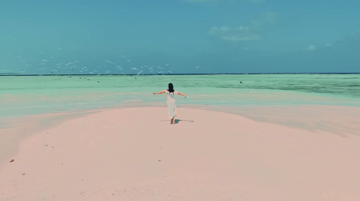 Maldives Tourism 50 tweet media