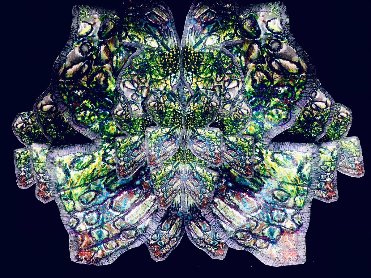 BennettTextiles (@bennetttextiles) on Twitter photo Beautiful insect wing collages by textile students <a href="/bennettmemorial/">Bennett Memorial</a> fibres trapped in plastic, embellished with stitch & beading, inspired by artist Seb Janiak Beautiful insect wing collages by textile students <a href="/bennettmemorial/">Bennett Memorial</a> fibres trapped in plastic, embellished with stitch & beading, inspired by artist Seb Janiak