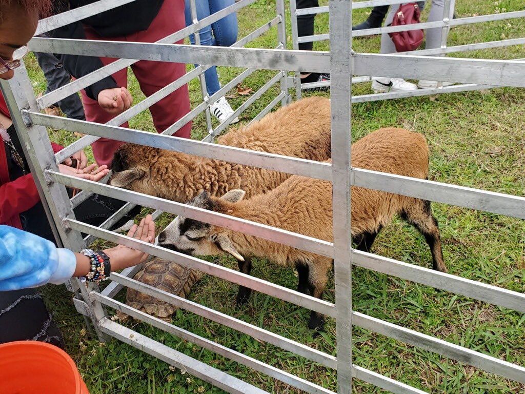 Skyla Williams, M. S.ππ (@_skywilliams) on Twitter photo Rodeo themed SEL day <a href="/WeLoveWheatley/">Phillis Wheatley High School</a> emotional support petting zoo!!! <a href="/HoustonISD/">Houston ISD</a> <a href="/SEL4USA/">SEL4US</a> @SELHISD #SELday #HISDSELday #hisdbadgechallenge Rodeo themed SEL day <a href="/WeLoveWheatley/">Phillis Wheatley High School</a> emotional support petting zoo!!! <a href="/HoustonISD/">Houston ISD</a> <a href="/SEL4USA/">SEL4US</a> @SELHISD #SELday #HISDSELday #hisdbadgechallenge