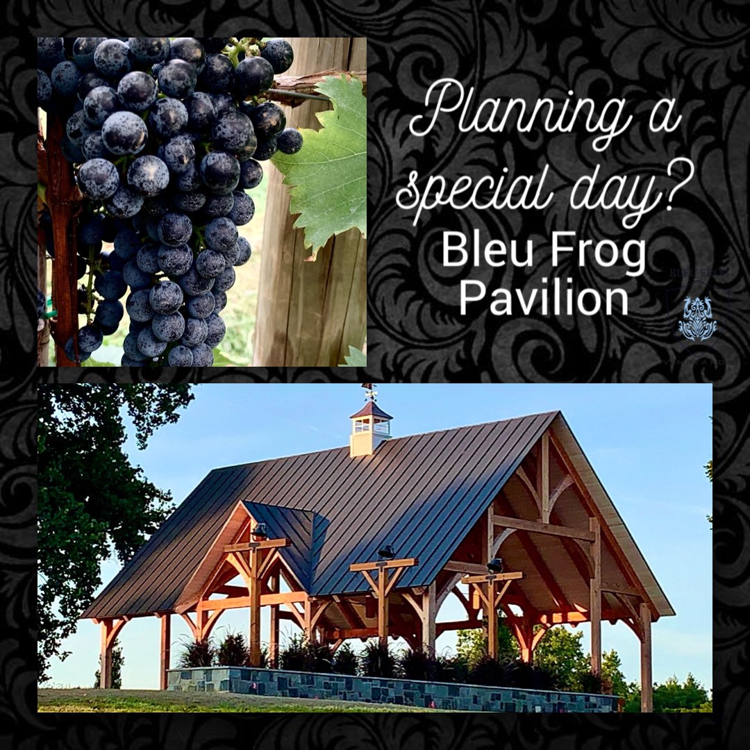FrogVineyards's tweet photo. Nice Weather ahead for special occasions. Bleu Frog Pavilion is a lovely venue for a great gathering. Inquire https://t.co/xpUaDmIC9s #visitloudoun #loveloudoun #washingtondc #frederickmd #lucketts #visitleesburg #veteran #loudounvafarms #novadrinks #leesburgva #NOVA https://t.co/oEtRQl6CDD