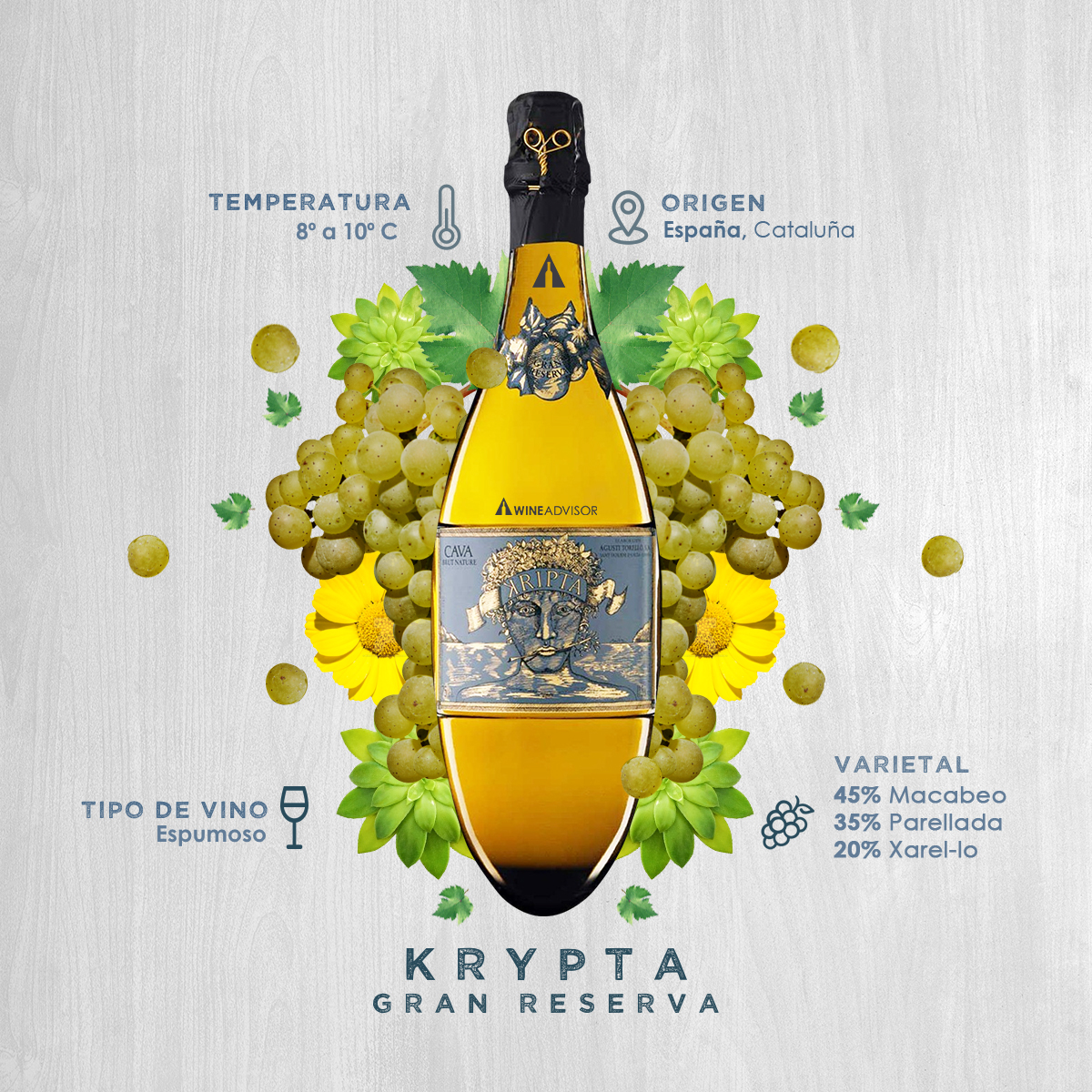 WineAdvisor tweet media