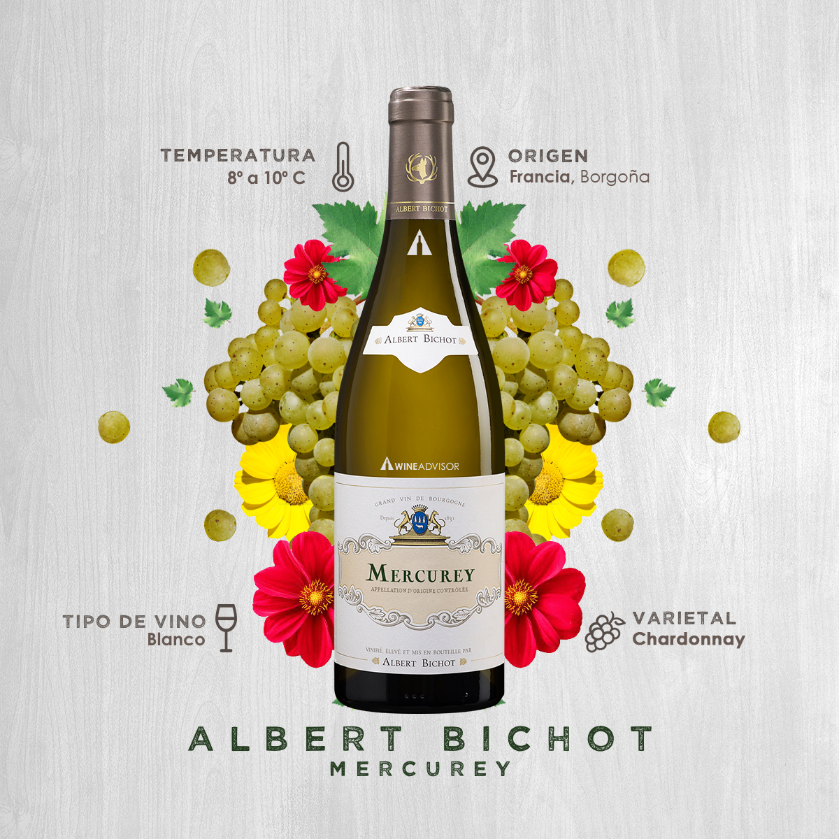WineAdvisor tweet media