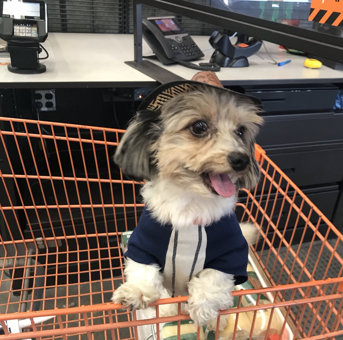 JennyBarnardFES's tweet photo. Chulo wanted to stop by #hd0569 and say 👋🏼 His room is being remodeled so he came to pick up some things. @MichaelFloresHD @JarrodFarmer4 @DIana_0569 @idrissi_mary @_mayra_valencia @Jerry_Smith_Jr https://t.co/PVzX9IBlSr