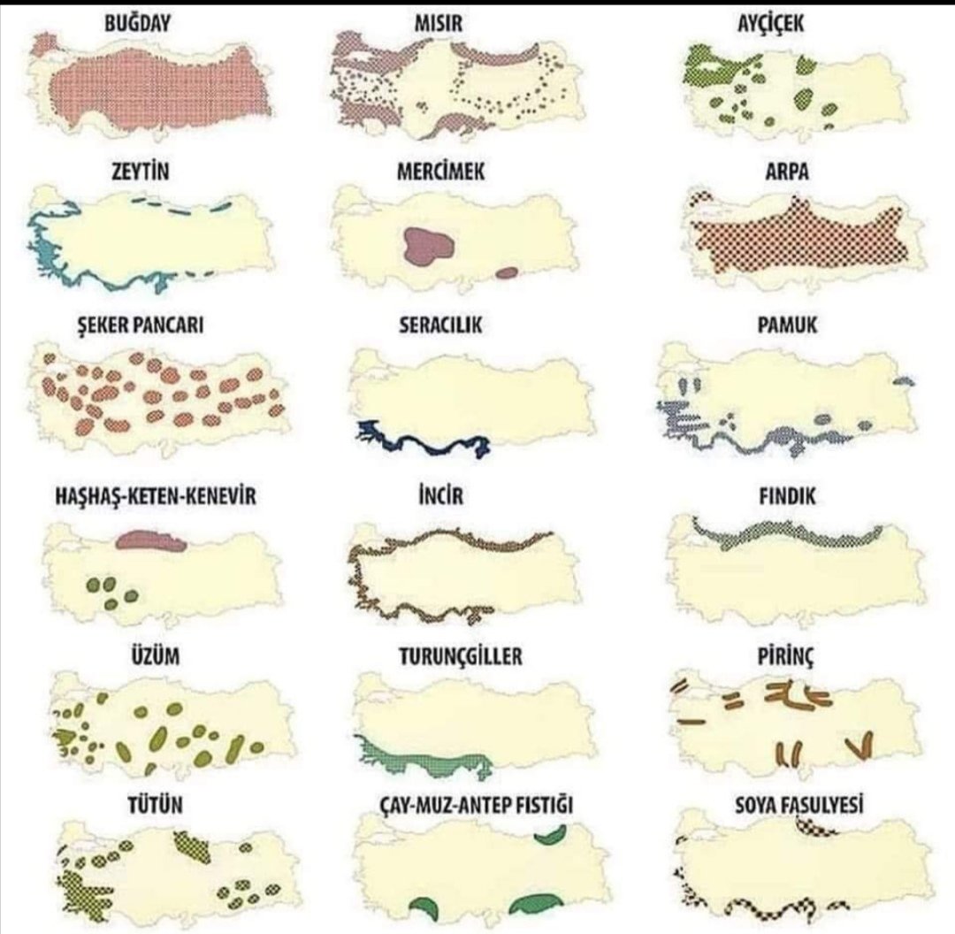 1) Dünyanın en güzel dağlarına,
en bereketli yaylalarına sahibiz hayvancılık yok!
Her biri bir Avrupa ülkesi büyüklüğünde Konya, Çukurova, GAP yani Harran,Iğdır, Muş, Trakya verimli ovalarımız var ama tarım yok!
Üç tarafımız denizlerle çevrili soframızda balık yok! <a href="/VahitKirisci/">Prof.Dr.Vahit Kirişci</a>