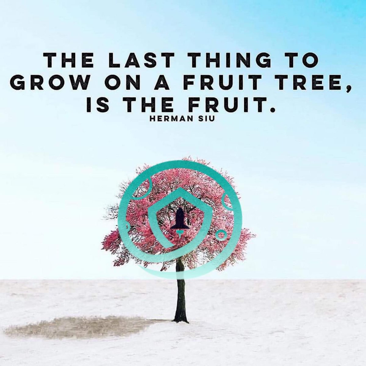 Hamid609394's tweet image. #SAFEMOON