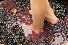 4sisterswine's tweet photo. Let's get stopimg..! Grape Stomping that is!! Join us March 26th 1pm-4pm for a unique experience you do not want to miss! Call 908-475-3671 to reserve your tickets! #winetasting #grapestomp #njwinery #njwine #njfun #njisntboring #bucketlist #grapestomping #njevent #belviderenj https://t.co/JnHV2eTNPB