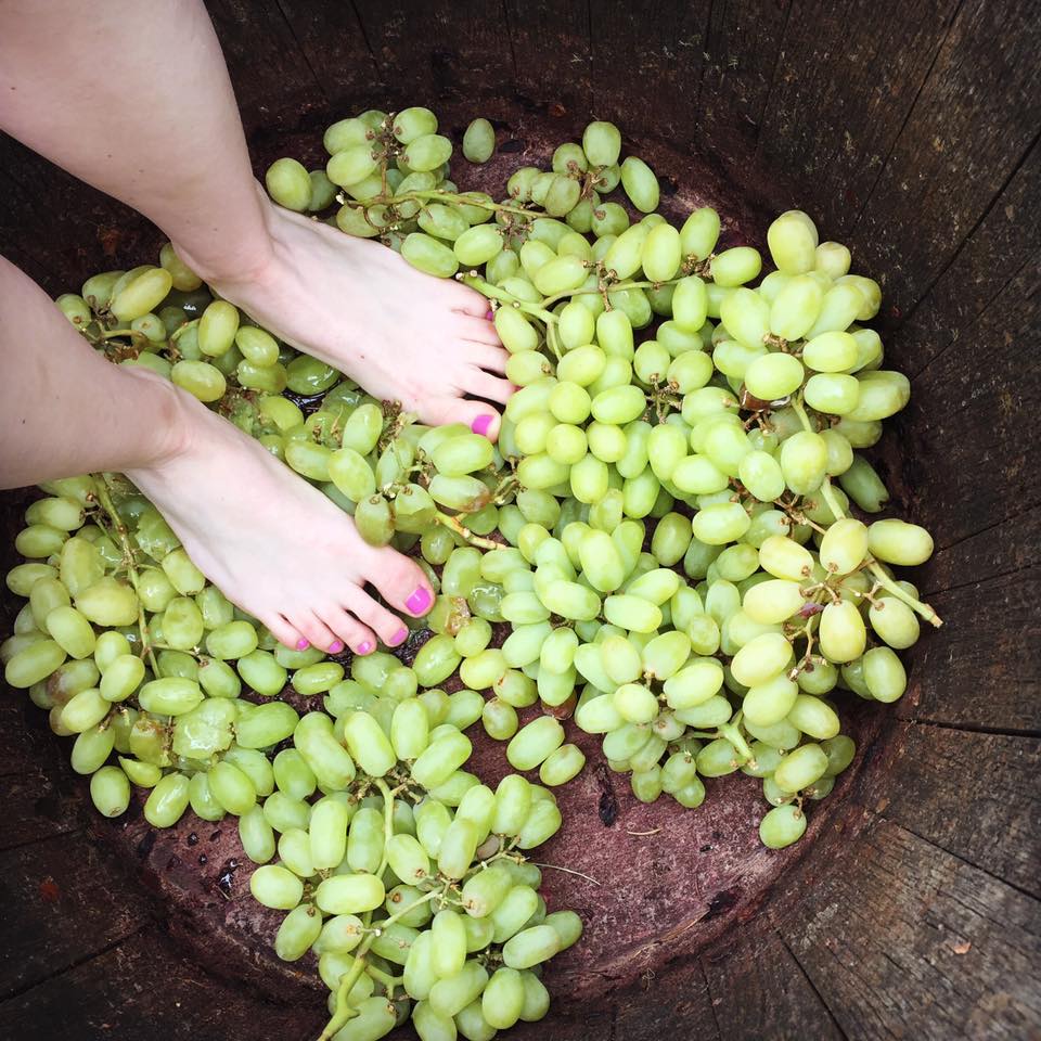 4sisterswine's tweet photo. Let's get stopimg..! Grape Stomping that is!! Join us March 26th 1pm-4pm for a unique experience you do not want to miss! Call 908-475-3671 to reserve your tickets! #winetasting #grapestomp #njwinery #njwine #njfun #njisntboring #bucketlist #grapestomping #njevent #belviderenj https://t.co/JnHV2eTNPB