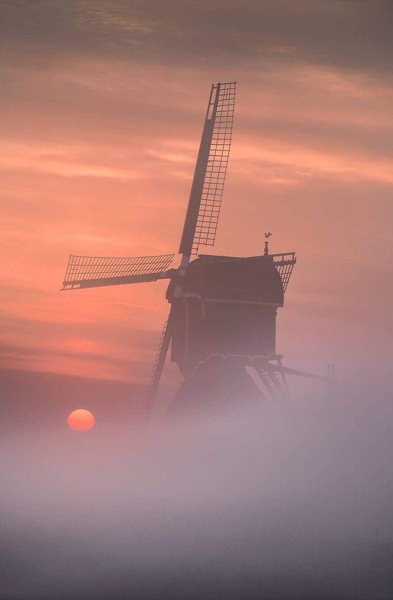 Mooie zaterdag! Liefs, #TeamPositief 

📸 Gijs de Reijke #Goedemorgen