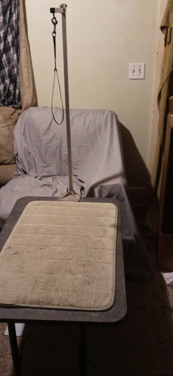 MFcrackers69's tweet photo. Before Twitter all i used to see was a dog grooming table..  Thanks Twitter... https://t.co/1fwwB5FRhH