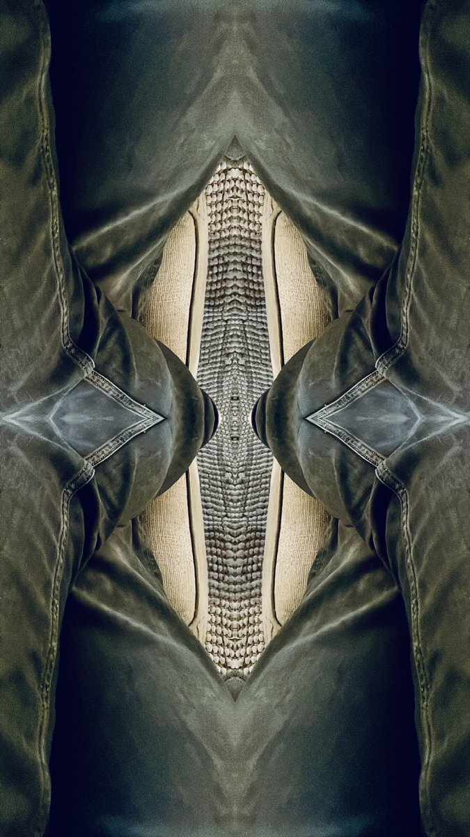 MirroredGallery's tweet photo. @CryptosJOE Follow and buy our Mirrored images. All Mirrored start at 0.009 😱: https://t.co/zrO4iZyZVU #nft #nfts #nftart https://t.co/CG0TGAQWG0