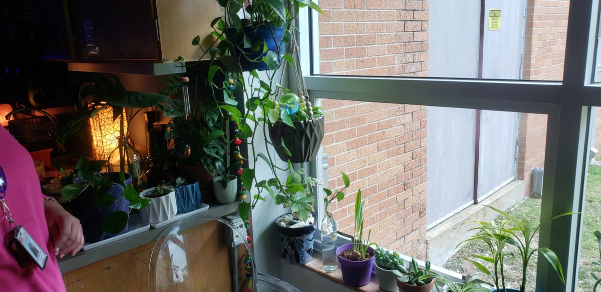 SEL0Neil's tweet photo. Also check out administrators and students working together to figure out that best schedule, and more amazing art [garden] room pix. #SELday https://t.co/E0BzALvxQj