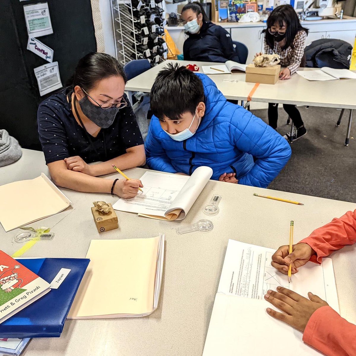 PSMatUPS's tweet photo. Look at these little naturalists learning about urban bird diversity & skull morphology using our teaching specimens!! We love being able to share museum specimens with local classrooms to hopefully inspire the next generation of scientists & artists! #museumspecimens https://t.co/r9eV9KEyng