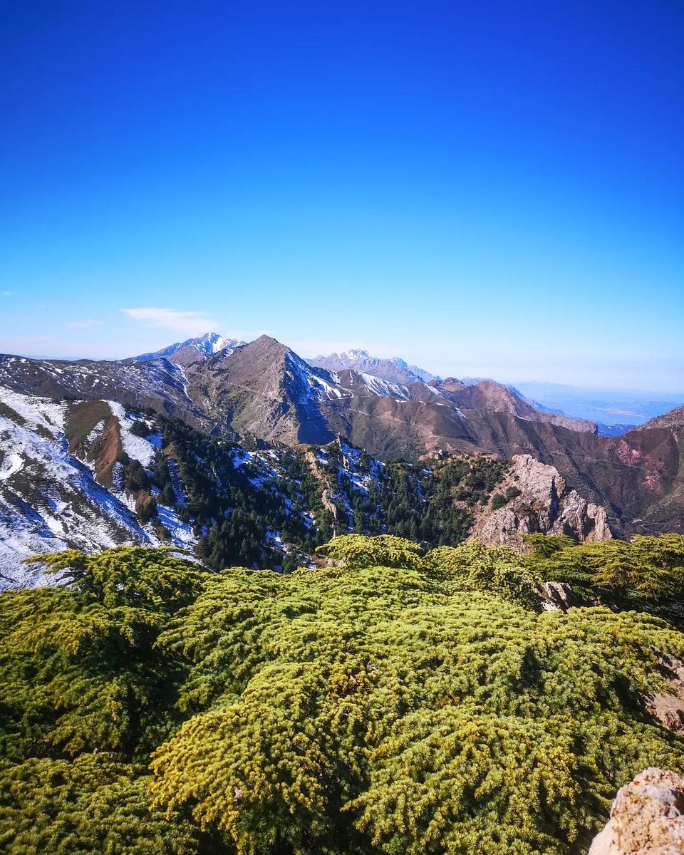 Discover_DZ's tweet photo. Djurdjura, Algeria. https://t.co/TmVV5SgQMi