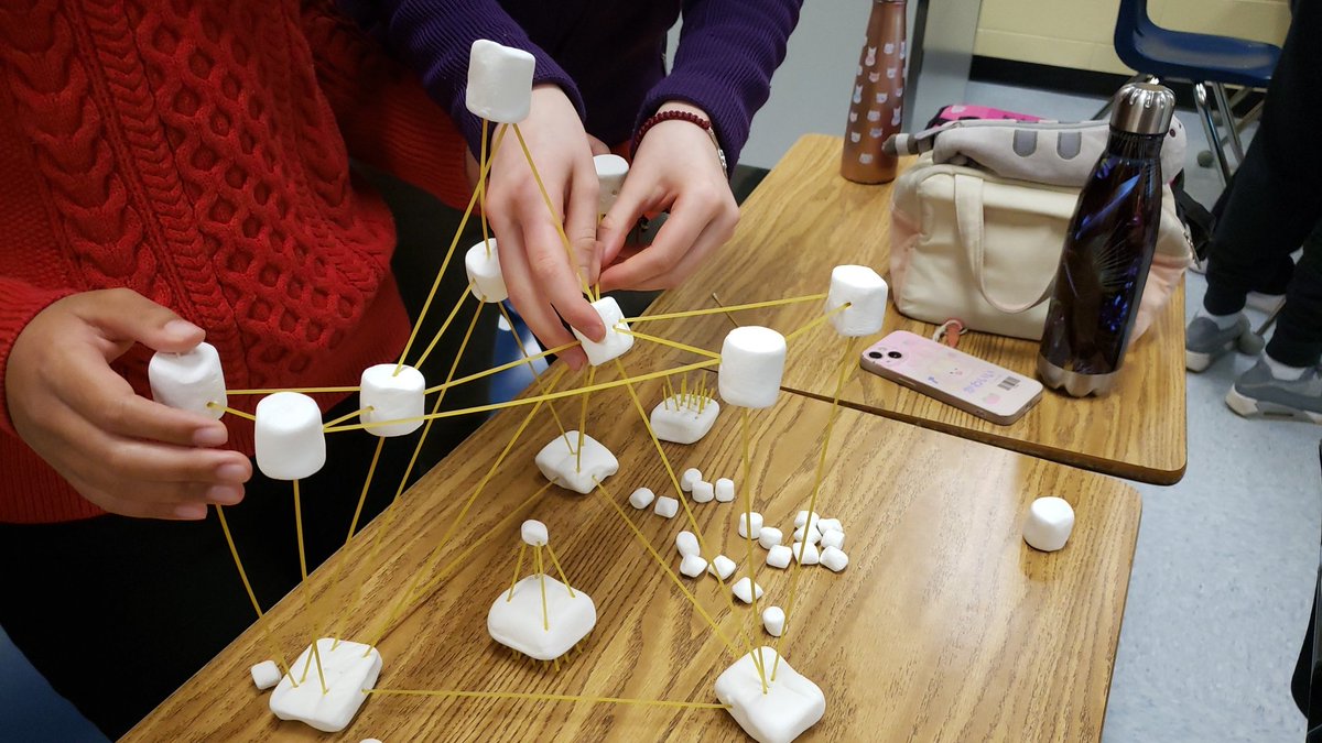 Eileen Hoppock tweet media