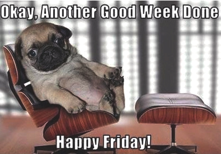 Yes! Have a great weekend.

WarrantyLife.com

#smartphone #iphone #samsung #pro #apple #android #technology #mobile #xiaomi #tech #phone #oneplus