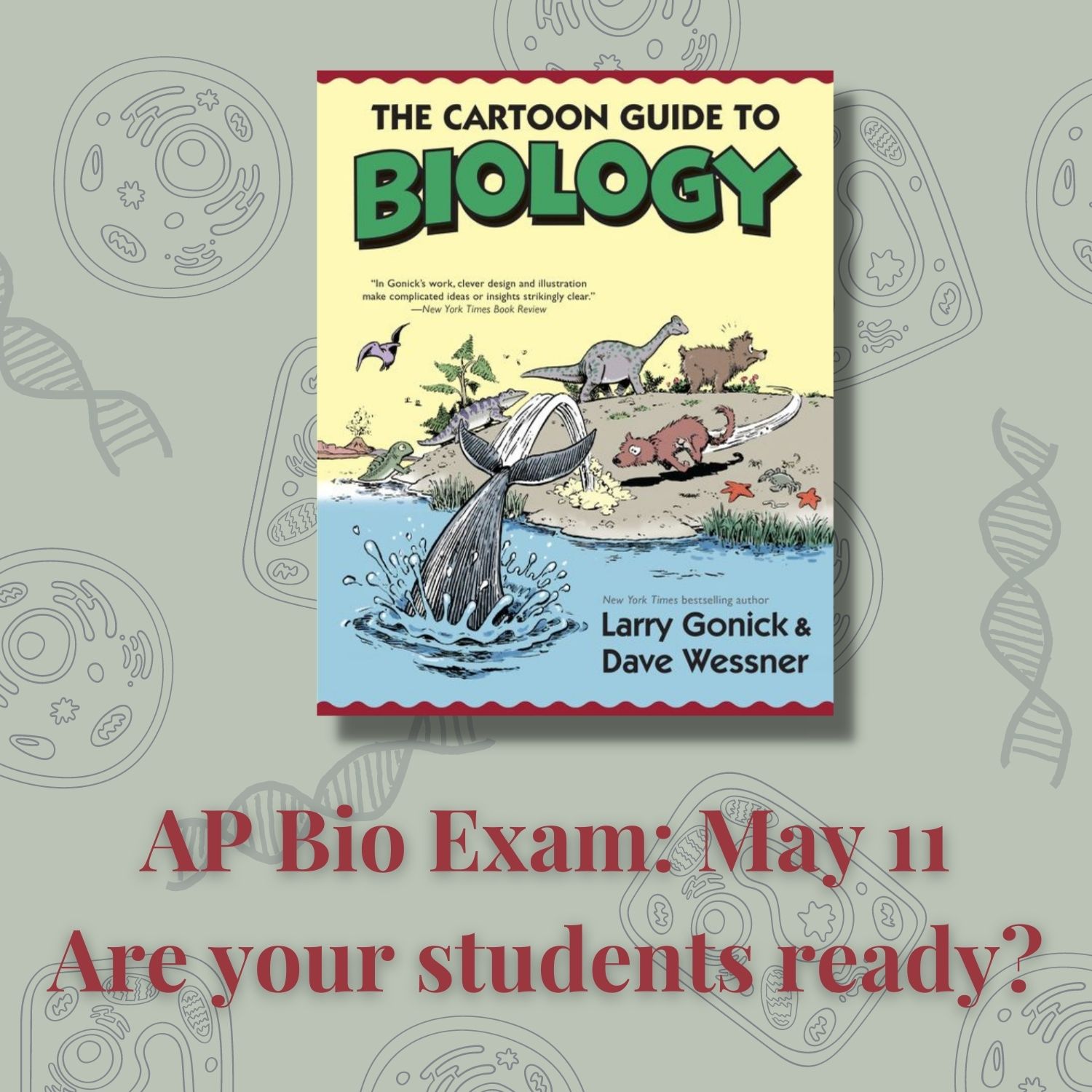 تويتر \ HarperAcademic على تويتر: "The AP Biology exam is around the corner  and what better way to prepare than the CARTOON GUIDE TO BIOLOGY by Larry  Gonick and Professor David Wessner.