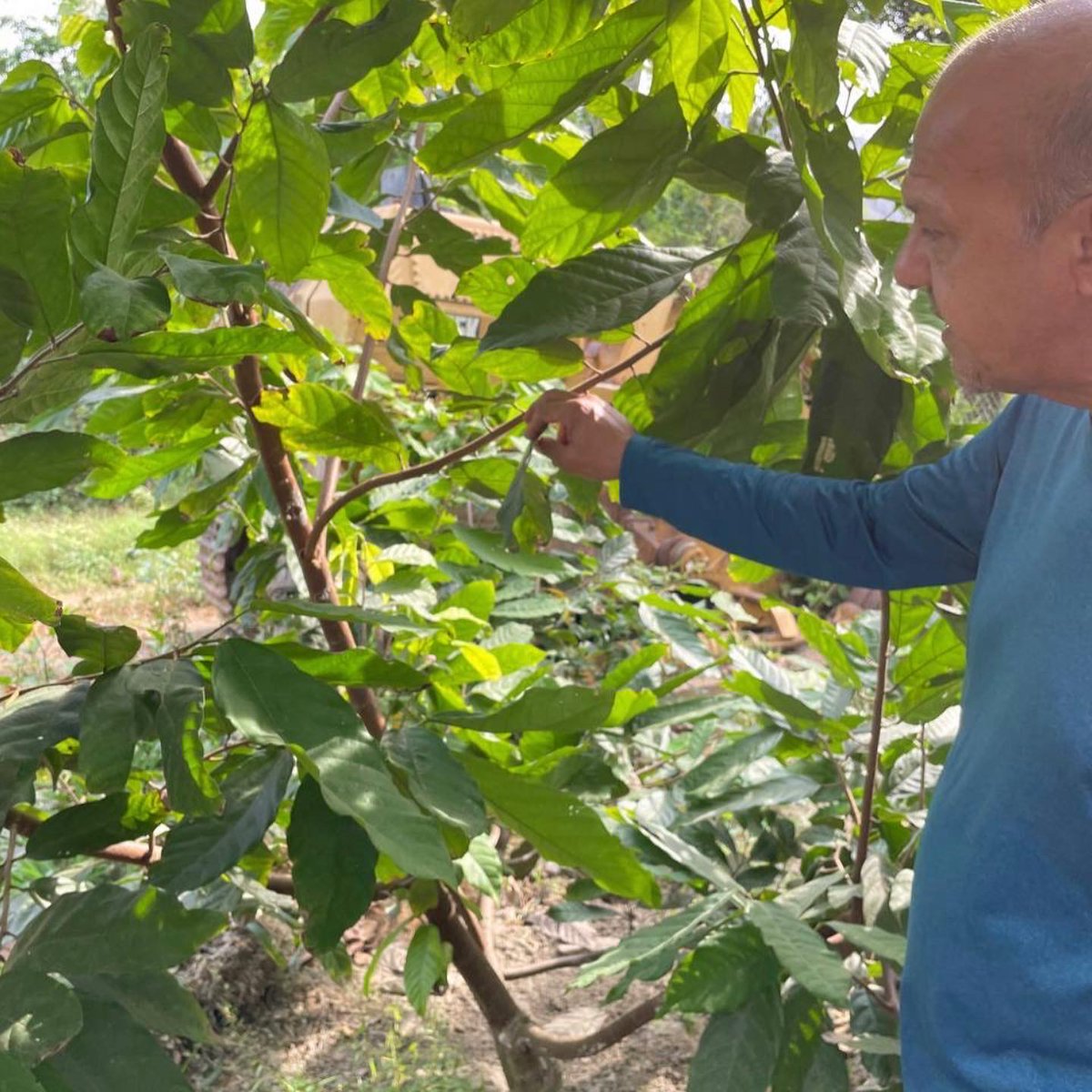agrocognitive's tweet photo. Han estado probando nuestra plataforma para identificar mejoras que permitan al productor hacer un seguimiento oportuno y eficiente del mismo.

#agriculturadeprecisión #agricultura #AgroCognitive https://t.co/26MdaijEWc
