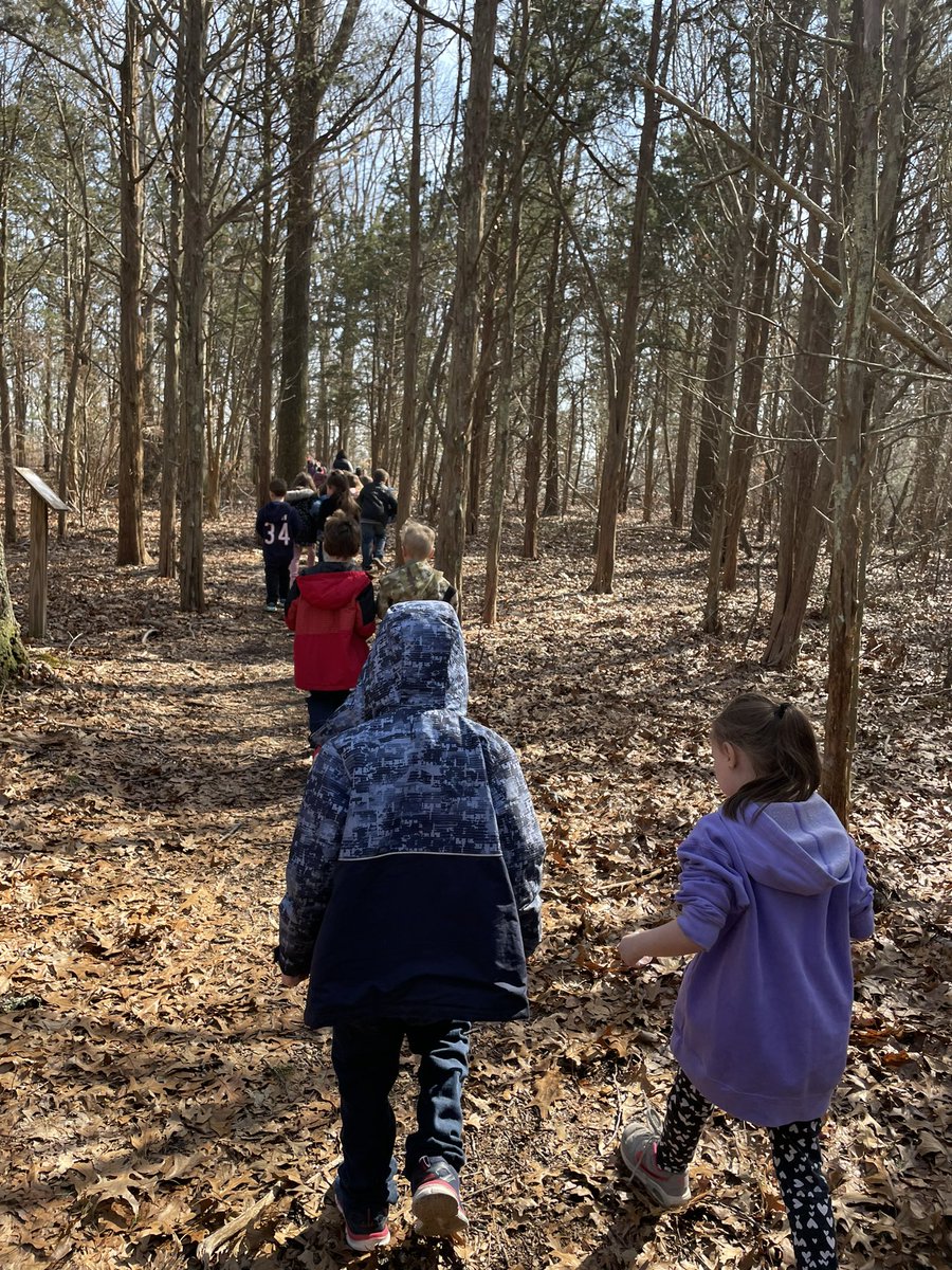 eml8reducator's tweet photo. We went hunting for pill bugs today for our terrariums 🔍 
It was lots of fun!! 
@FOSSscience https://t.co/8cIABXQcS7
