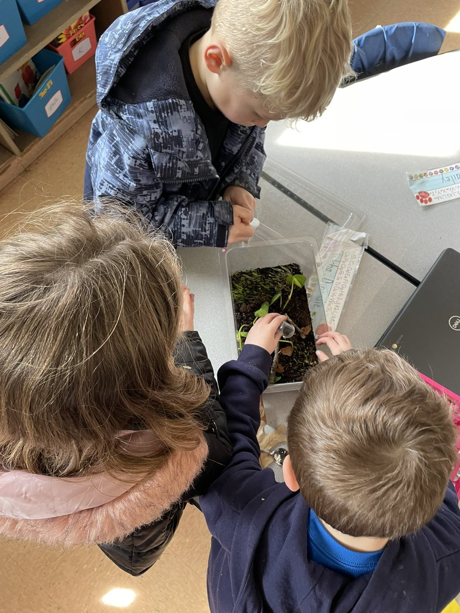 eml8reducator's tweet photo. We went hunting for pill bugs today for our terrariums 🔍 
It was lots of fun!! 
@FOSSscience https://t.co/8cIABXQcS7