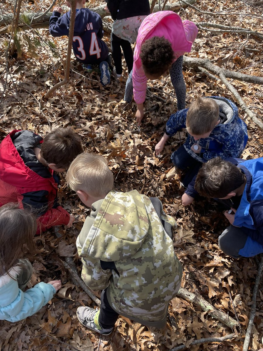 eml8reducator's tweet photo. We went hunting for pill bugs today for our terrariums 🔍 
It was lots of fun!! 
@FOSSscience https://t.co/8cIABXQcS7