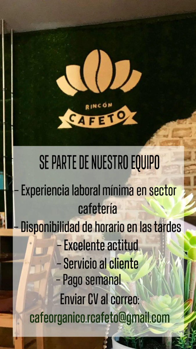RinconCafeto_'s tweet photo. Únete a nuestro equipo ✨ https://t.co/NADvu8Lj1t