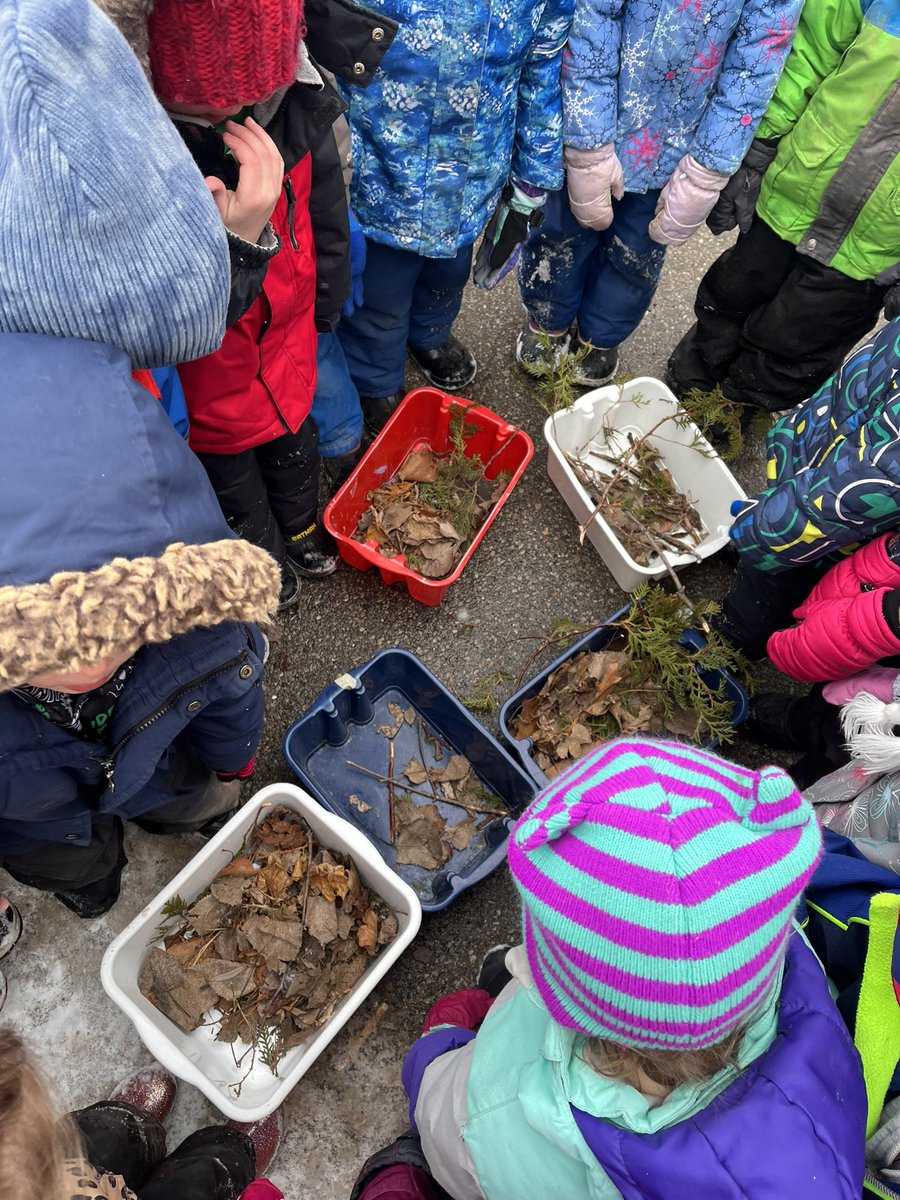 Miss. Romany tweet media