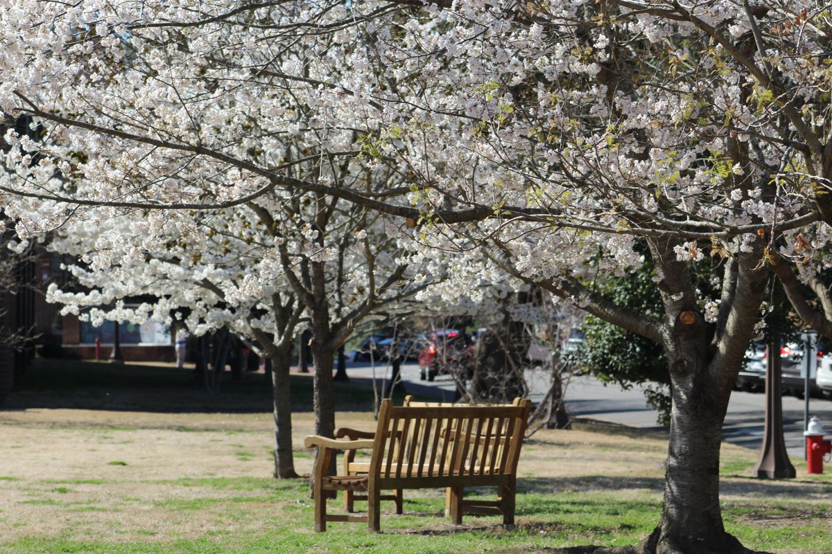 williamandmary's tweet photo. Wishing the entire W&M community a great Spring Break! #wmInSpring https://t.co/jMzZEH9B24