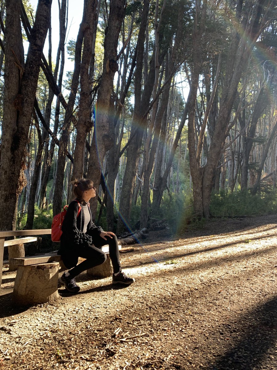 Seba Morales tweet media