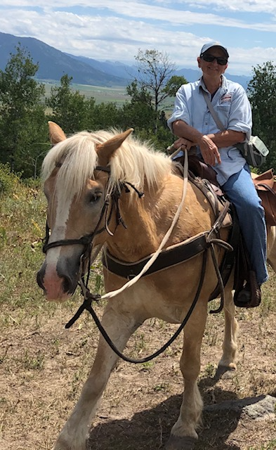 UNC College of Natural and Health Sciences tweet media