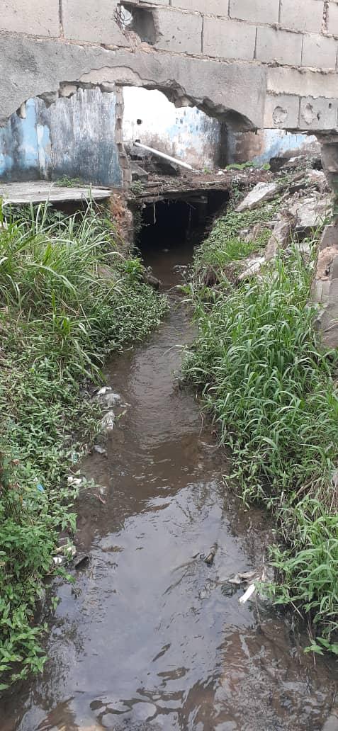 El Sector las Palmitas carrera 09 Parroquia Simón Bolívar,San Félix Hacemos la  denuncia de botes de aguas negras y el alcantarillado tapado con basura,palos y animales muertos, conjuntamente con el monte impidiendo el paso vehicular Hasta cuándo tanta desidia?
<a href="/JosCarm74655411/">José Carmona</a>