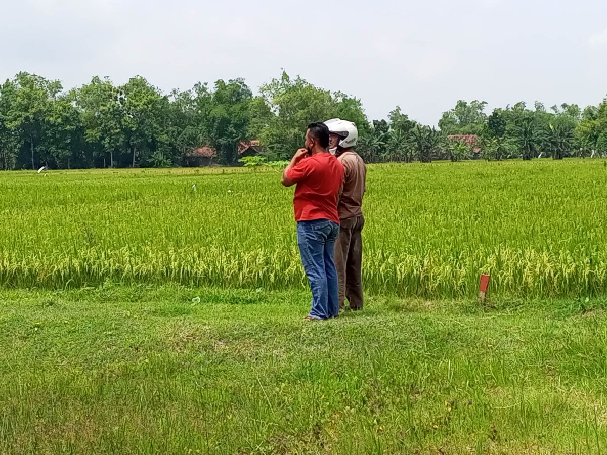 Kristionofa's tweet photo. TANAH KAVLING DI PURWODADI GROBOGAN, Hubungi WA 0858-7610-1981

KLIK https://t.co/uo3mUlJYgV Tanah kavling purwodadi, tanah murah purwodadi, tanah kavling murah purwodadi, olx tanah purwodadi grobogan, tanah dijual olx grobogan, njop grobogan. https://t.co/9WxhAsNtKK