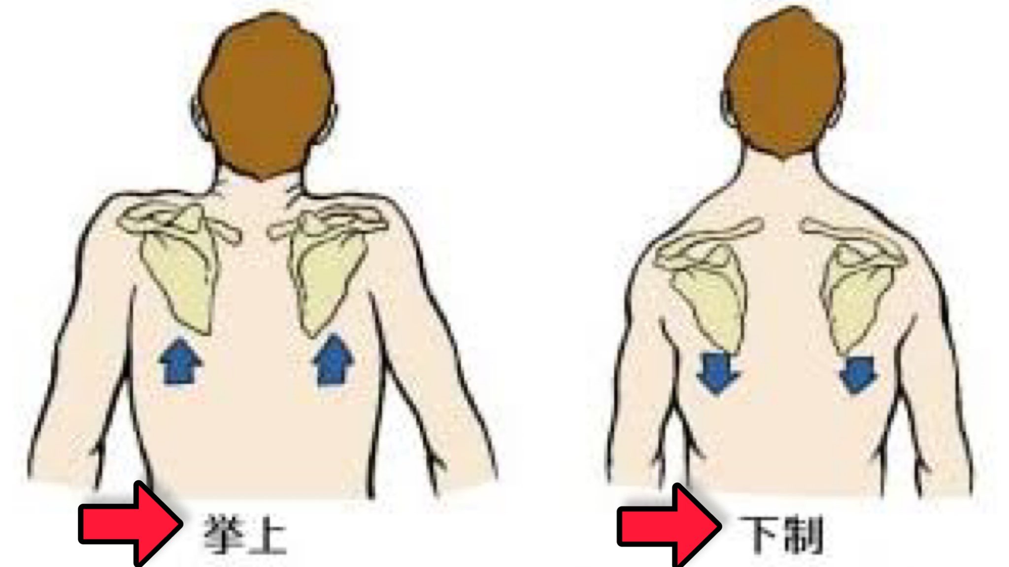 My Ismコーチかおたん Myism7lovekaori Twitter