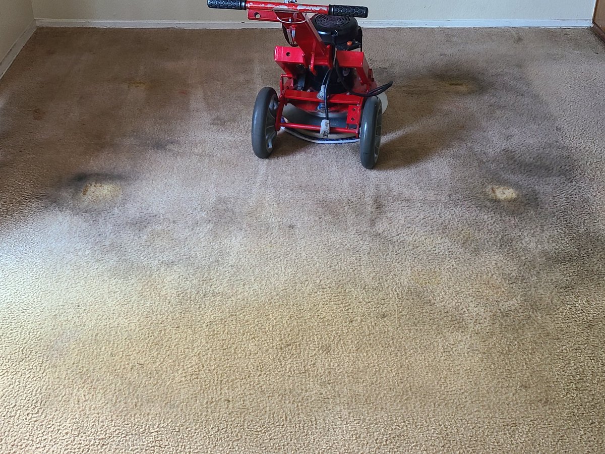 CarpetCannon's tweet photo. Low moisture carpet cleaning 
Op machine 
Dries under 60 minutes 
#investinyourself https://t.co/jsQaPlZrGh