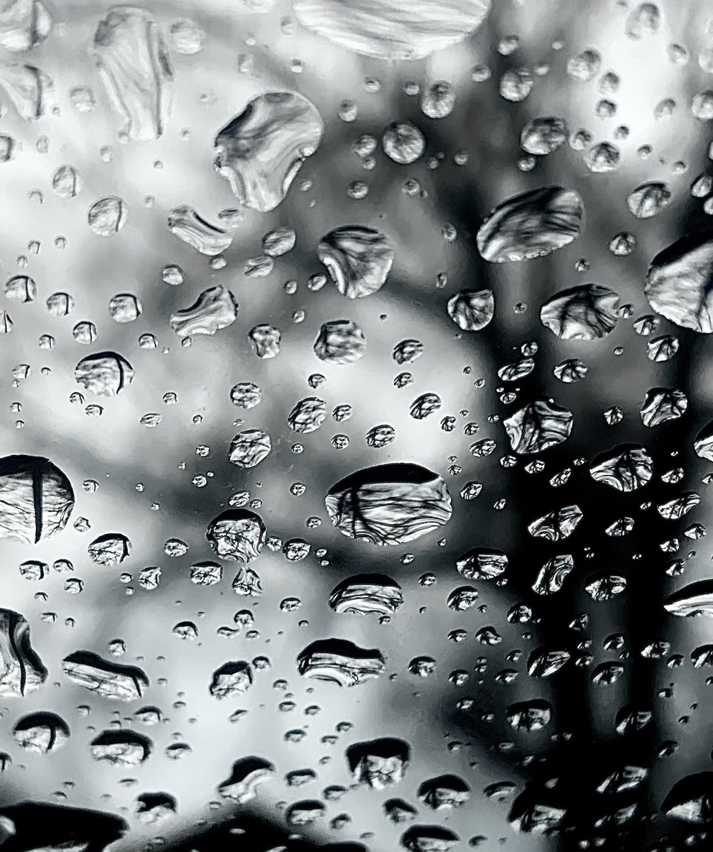 "Pitter Patter" by Jaci Jones // Spring 2021 Showcase

Current students, use this link to submit your work to this year's Showcase! 👉 bit.ly/3i7nZeZ

✨ Deadline to submit is March 28 

#20DaysofShowcase