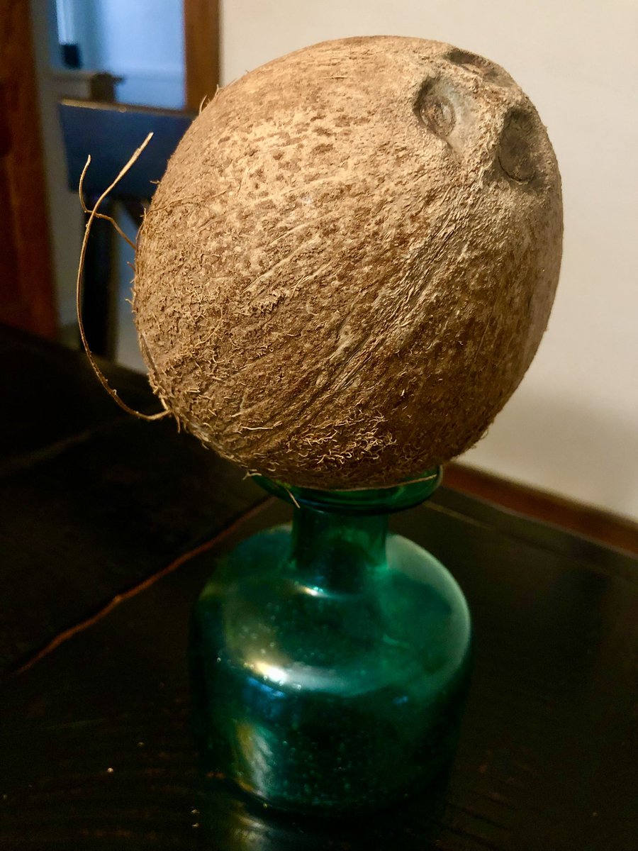 One of Rosie’s students gave her a coconut today. #TeacherAppreciation