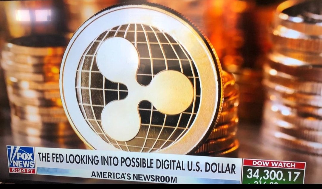 swiftxripple's tweet image. 