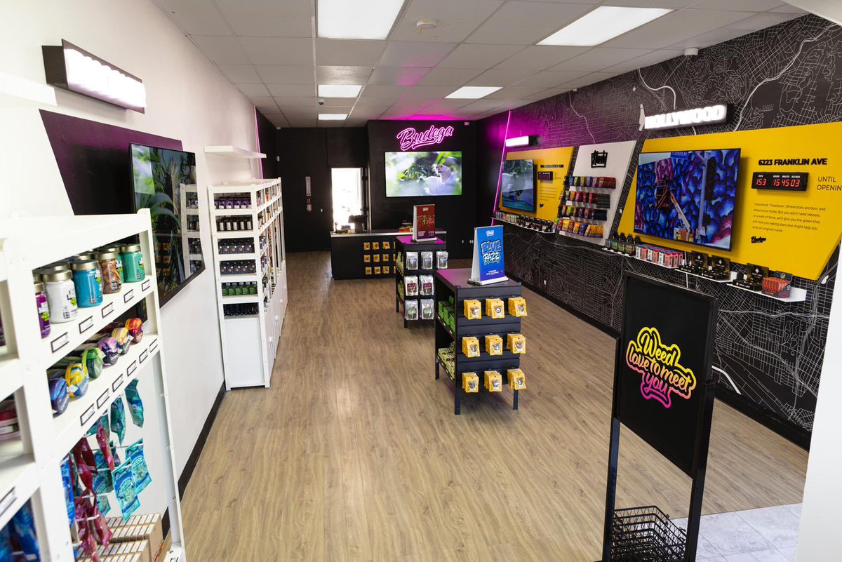 Halo Collective Inc. tweet media